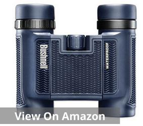best compact binoculars under 100