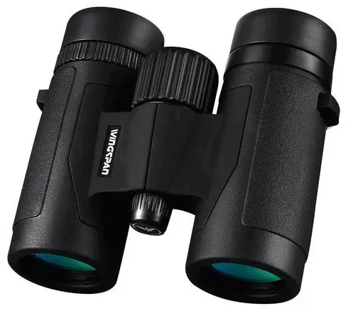 best compact binoculars under 50