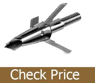 best broadhead for hunting