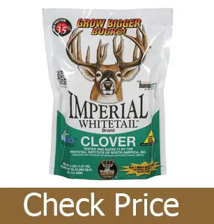 Best Overall Deer Attractant