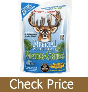 Best Deer Attractants Reviews