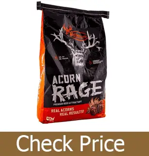 Best Deer Attractants 2020