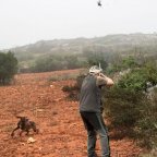 13 Tips for Hunting Tall Partridge