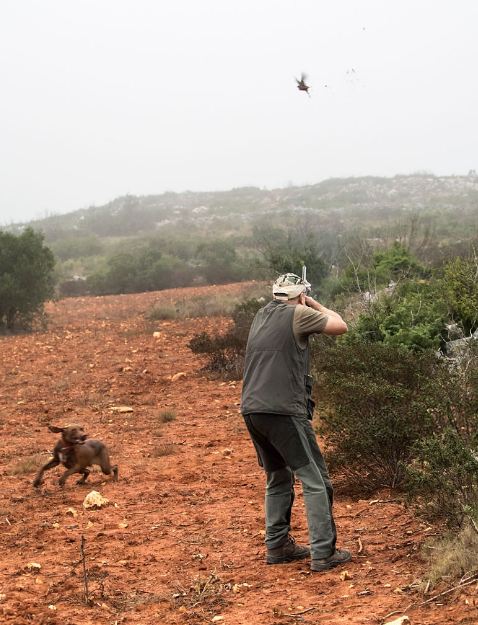 13 Tips for Hunting Tall Partridge