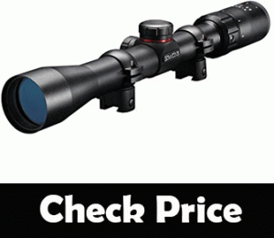best scope for ruger 10/22 squirrel hunting