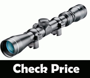 best ruger 10/22 scope for the money