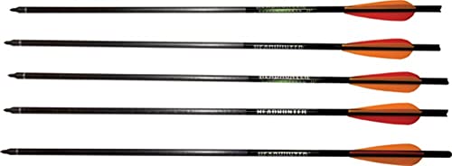 Best Carbon Hunting Arrows