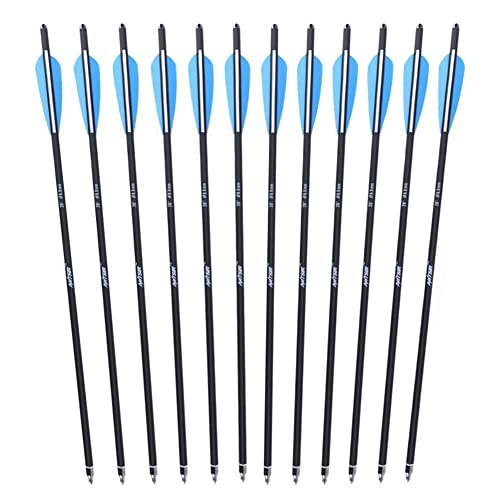 Best Carbon Hunting Arrows