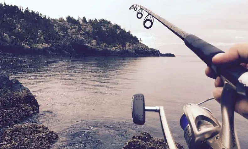 A Complete Buying Guide of Fishing Rods