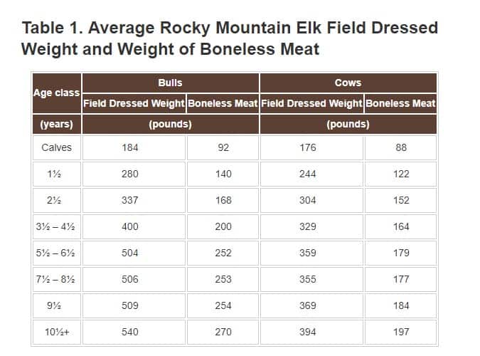 How Much Does A Bull Elk Weigh