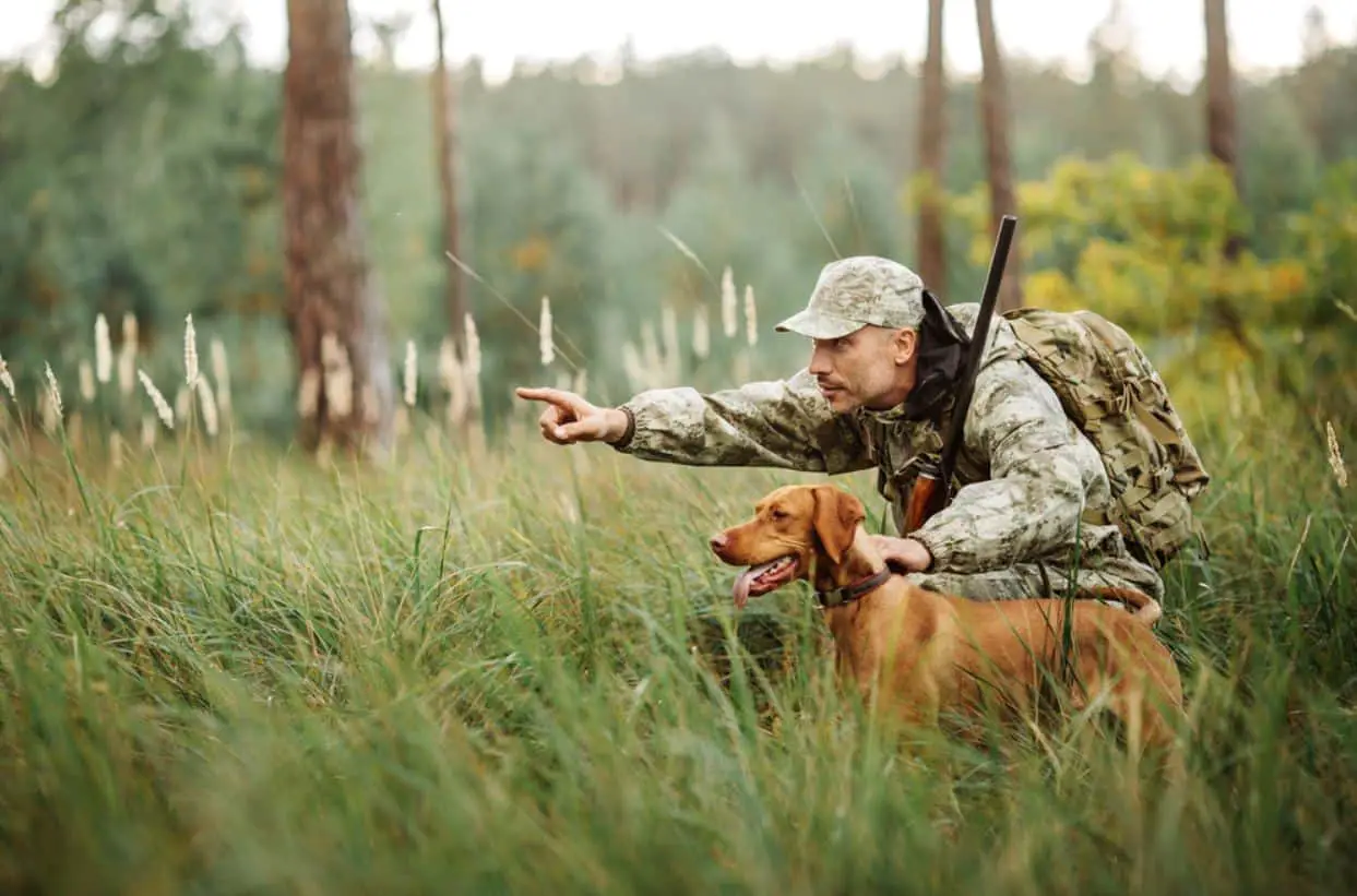 How to Prepare Our Dogs for the Hunting Season