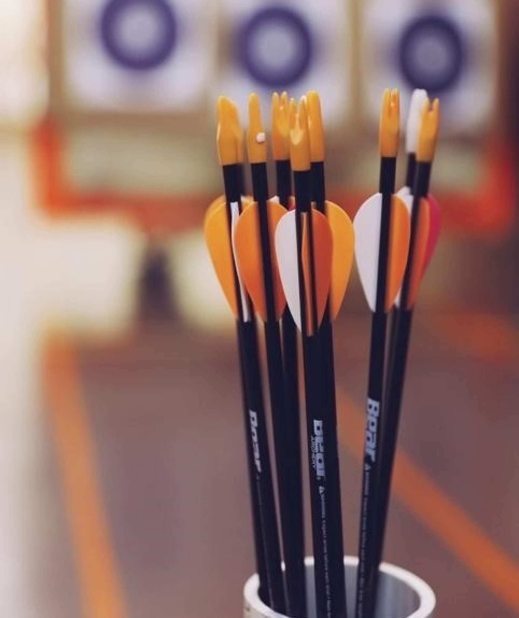 Best Hunting Arrows 2020 Product Reviews & Buyers Guide