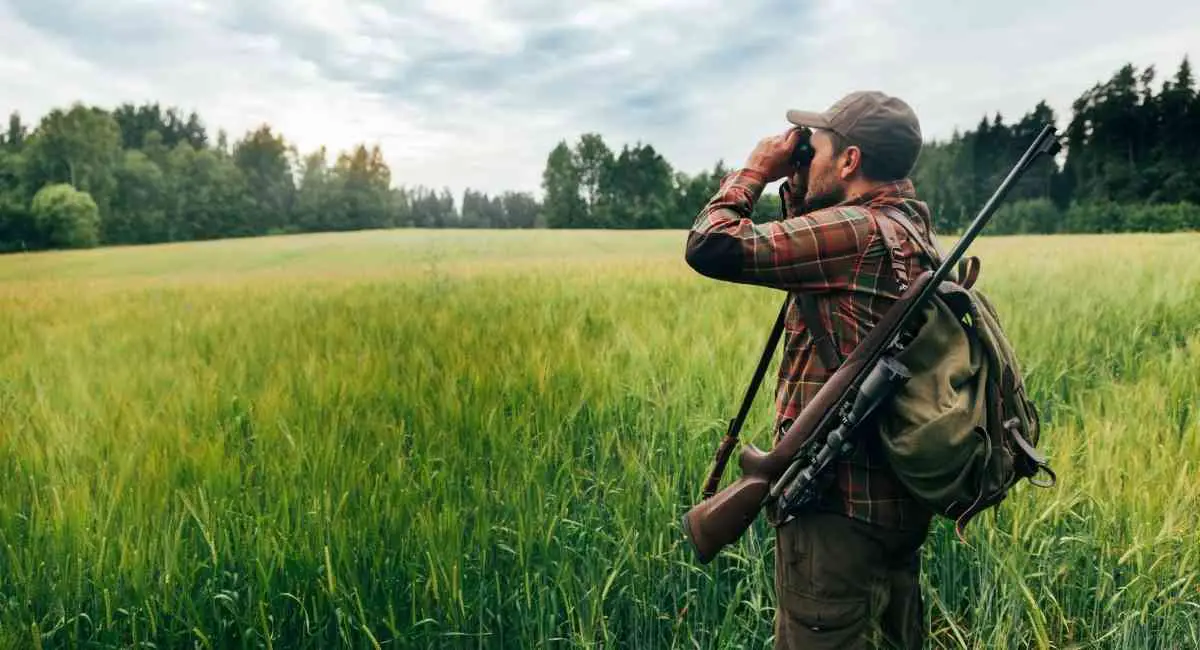 best time of day to hunt deer