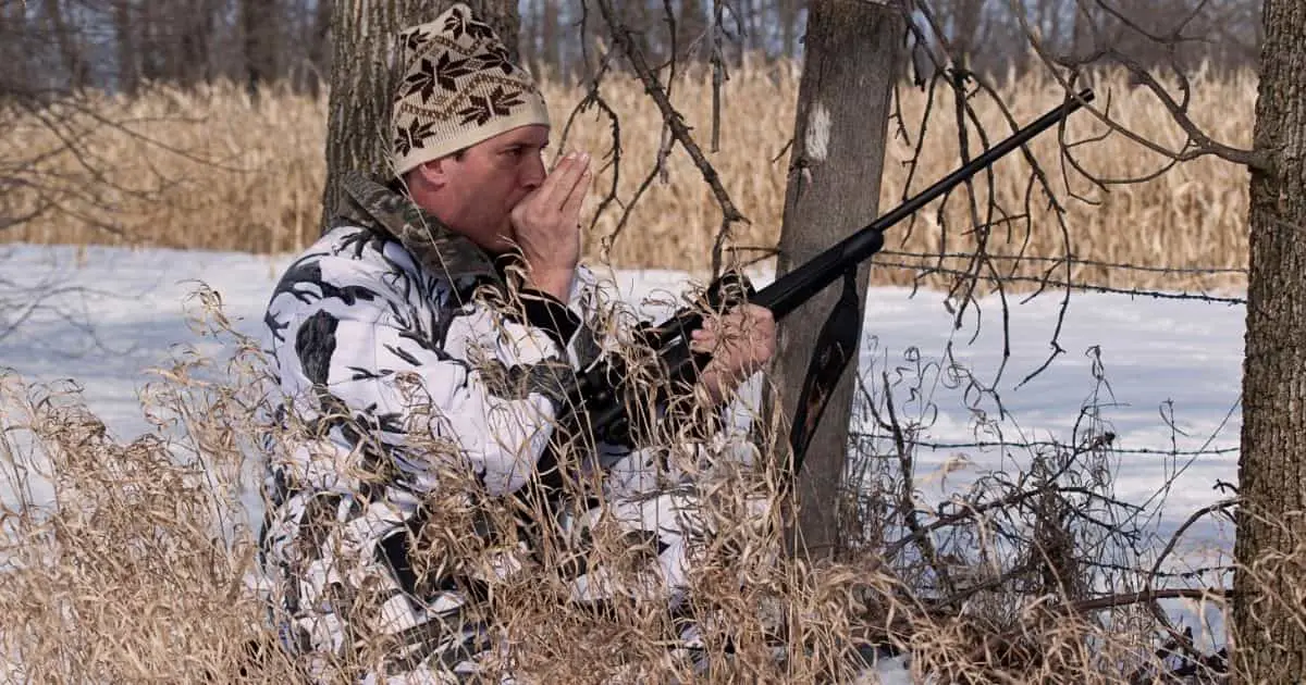 Man Calling Coyote