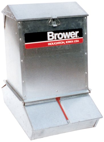 Best Hog Feeder