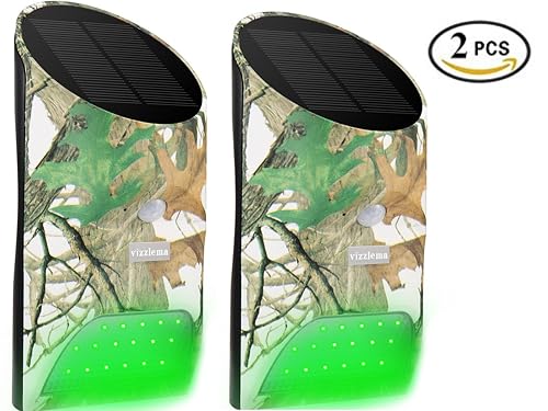 Best Hog Feeder