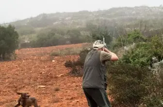 13 Tips for Hunting Tall Partridge