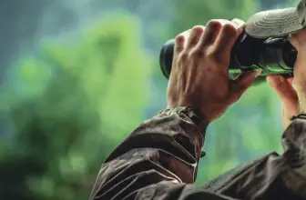 5 Best Binoculars for Bowhunting