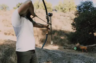 The Best Fixed Blade Broadheads: Razors for Your Rig