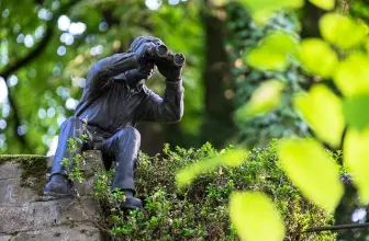 How to Make the Most Out of a Hunting Platform – Expert Insights