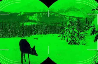 Why Is Night Vision So Expensive? Your Definitive Guide