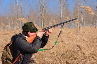 What is the Best Distance for Shooting an Animal?